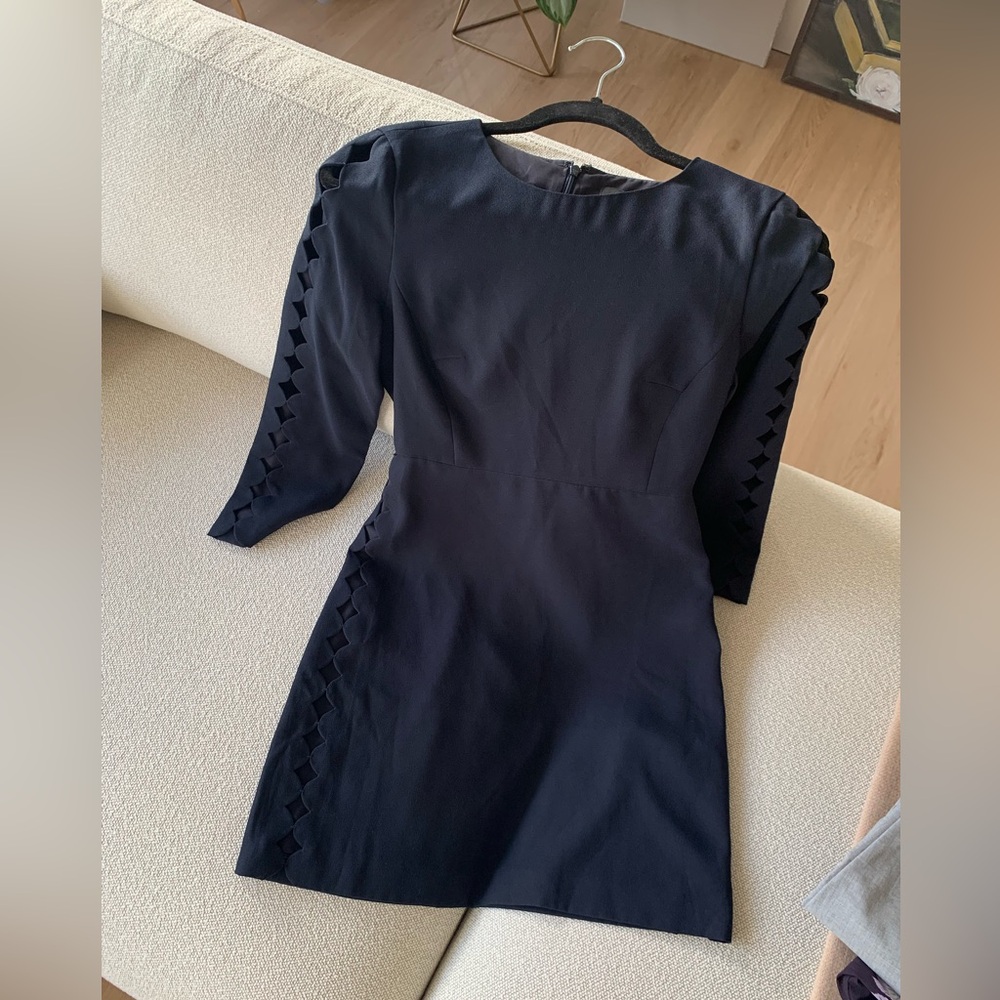 Club Monaco dress